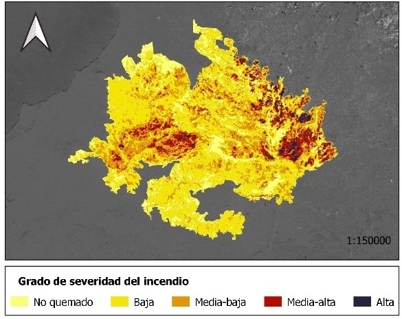 Grado de severidad del incendio