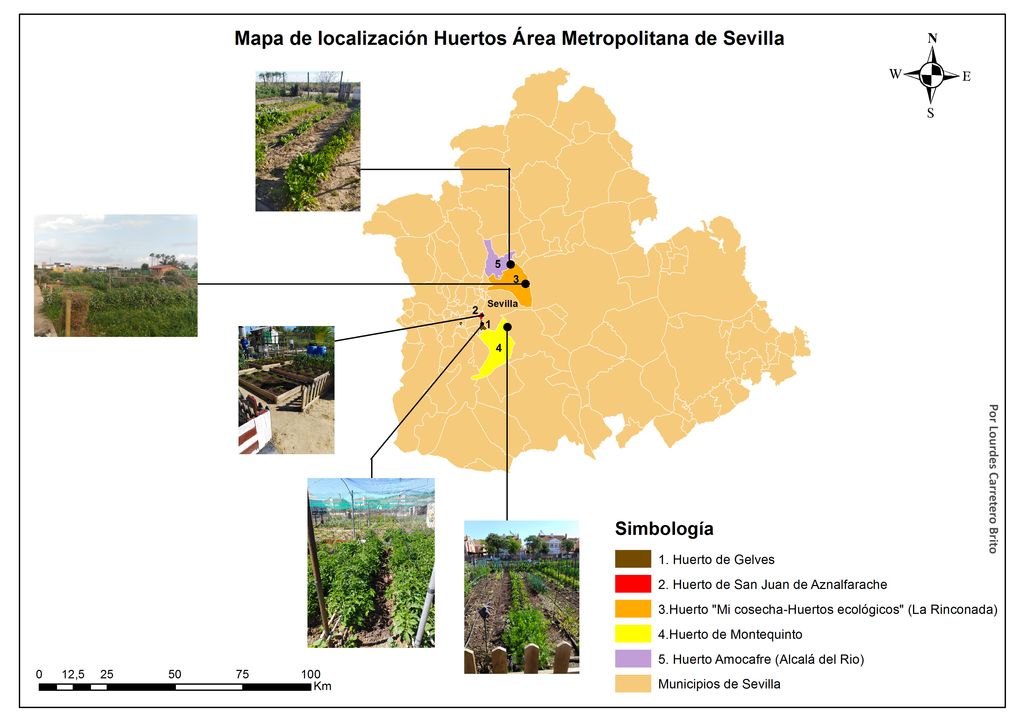 Impacto social y territorial de los huertos urbanos en el Área Metropolitana de Sevilla