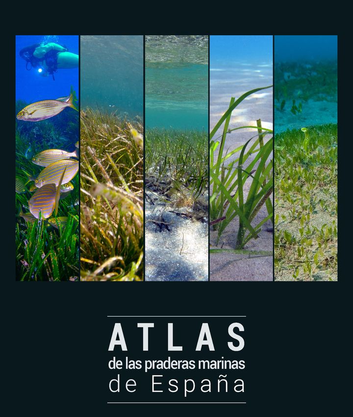 Atlas de las praderas marinas de España