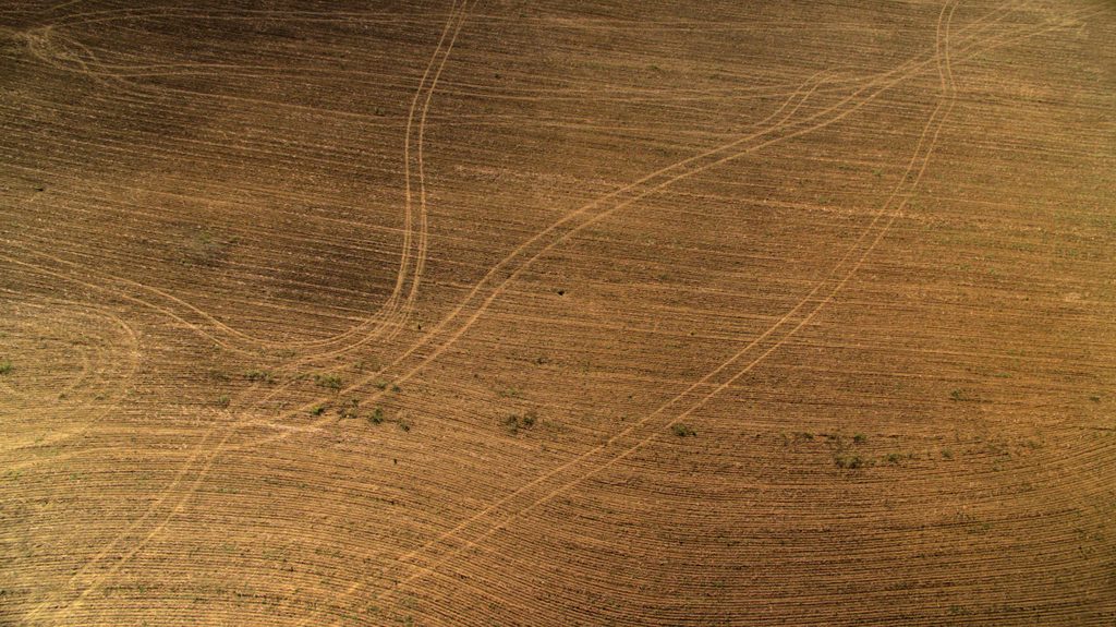 Tracks en Kentacky. Foto cortesía de Photoworx